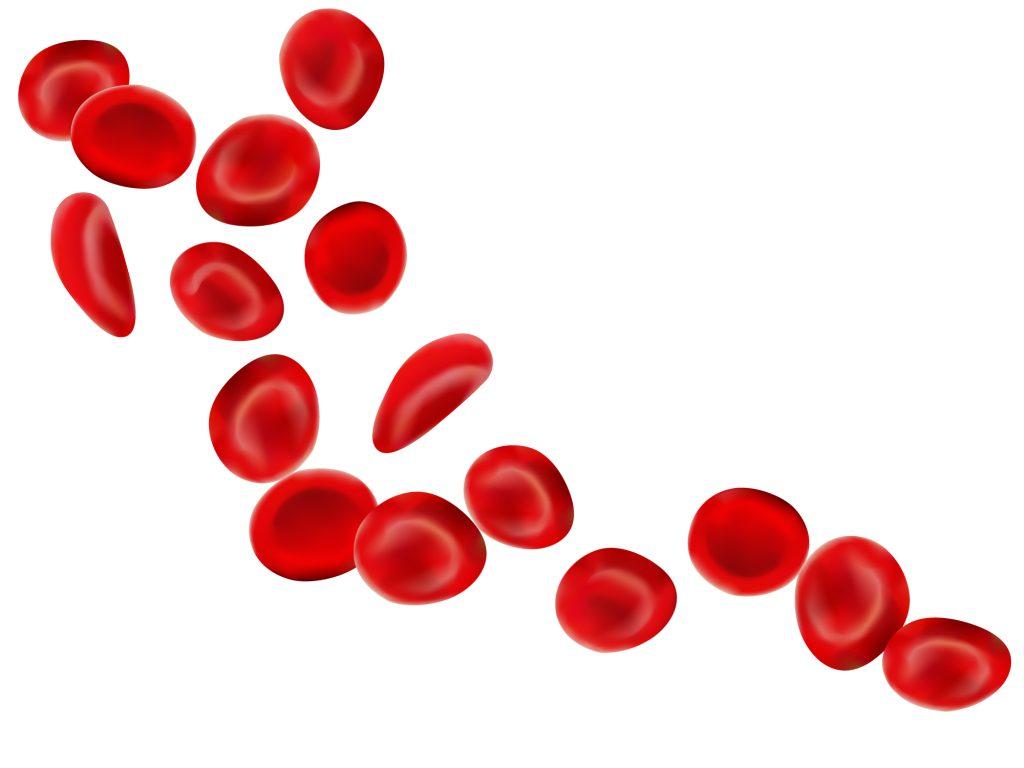 MDS 2025 Platelets MDS 2025 blood platelets